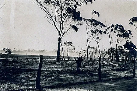 The stripped fields