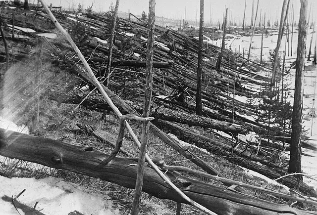 The flattened forest
